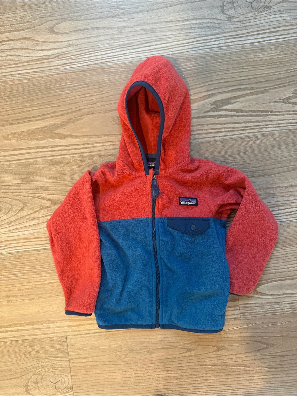 Patagonia 2T Micro-D Fleece Jacket